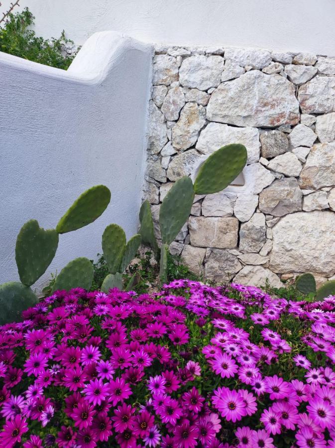 Dimora Mediterranea Матината Екстериор снимка