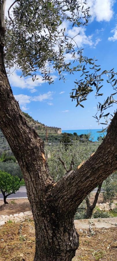 Dimora Mediterranea Матината Екстериор снимка